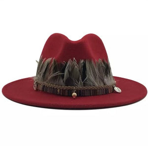 Unisex  Collection Fedora Hats With Feather