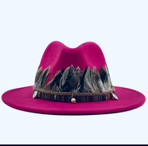Unisex  Collection Fedora Hats With Feather