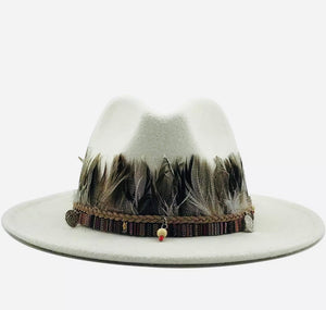 Unisex  Collection Fedora Hats With Feather