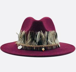 Unisex  Collection Fedora Hats With Feather
