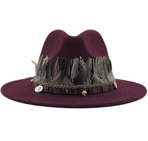 Unisex  Collection Fedora Hats With Feather