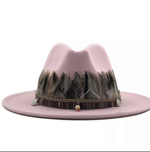 Unisex  Collection Fedora Hats With Feather